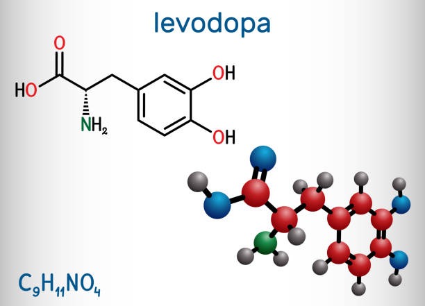 레보도파(Levodopa) - 파킨슨병 치료에 있어 가장 핵심이 되는 약물
