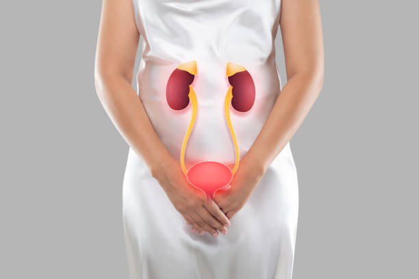 여성 요도염 증상, 방광염과 헷갈리나요? 놓치면 안 될 숨은 신호들